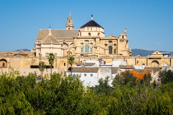 Moschea-Cattedrale di Cordova in Spagna — Foto Stock