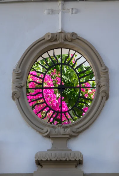 Jardin secret derrière fenêtre sculptée à Cordoue — Photo