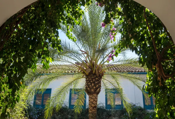 帕拉西奥·德·维亚纳科尔多瓦的花园和庭院 — 图库照片