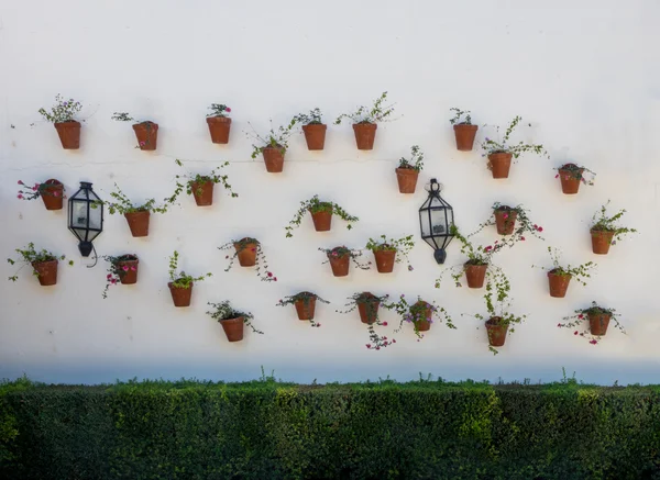 Blumen in Töpfen im Palacio de Viana Cordoba — Stockfoto