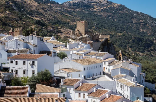 Olivträd omger hilltown av Zuheros i Andalusien — Stockfoto