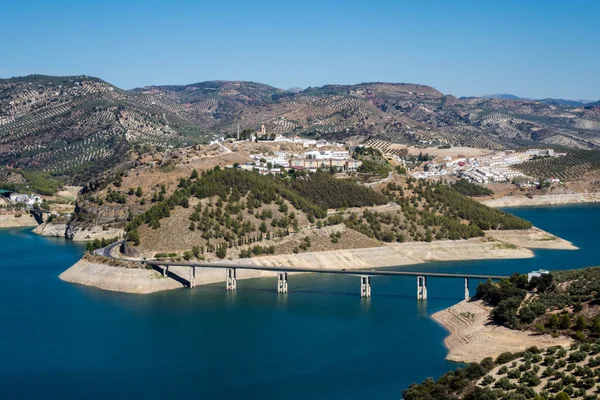 Olivos alrededor del lago Iznajar en Andalucía — Foto de Stock