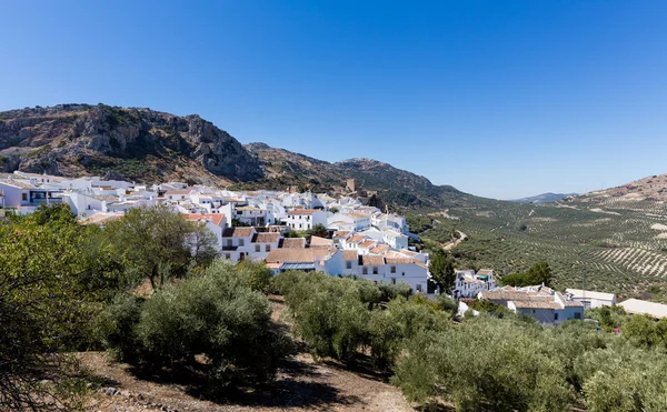 Azeitonas cercam a colina de Zuheros, na Andaluzia — Fotografia de Stock