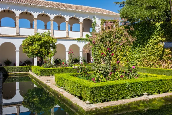 Widok na ogrody Generalife w Alhambra w Granadzie w Hiszpanii — Zdjęcie stockowe