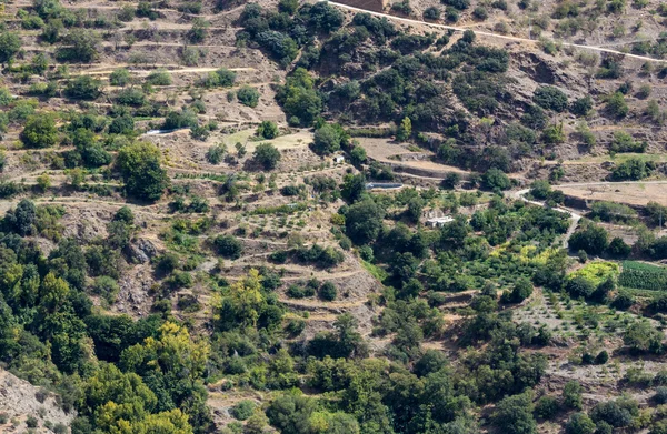 Bayarcal faming i terrasser i Spanien — Stockfoto