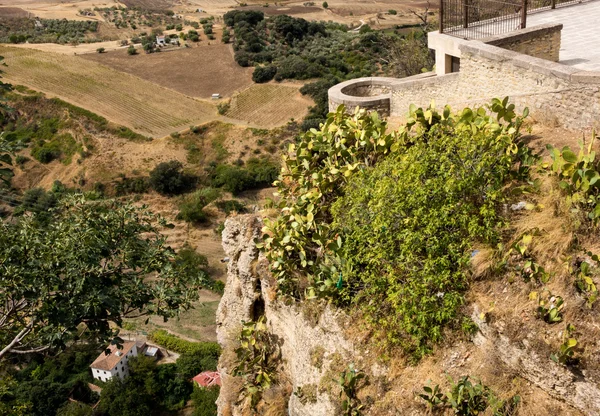 Veduta sulla ripida parete rocciosa della valle di Ronda — Foto Stock