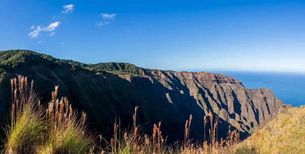 Awaawapuhi trilha final em penhasco acima Na Pali costa em Kauai — Fotografia de Stock