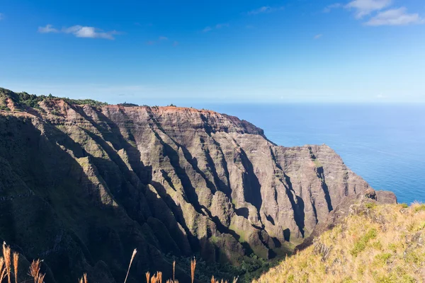 Koniec szlaku Awaawapuhi na klifie Na Pali coast na Kauai — Zdjęcie stockowe