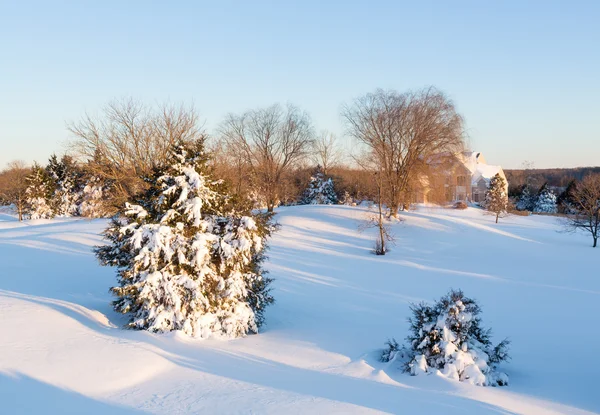 Deep snow in drifts cover fir tree — Stock Photo, Image