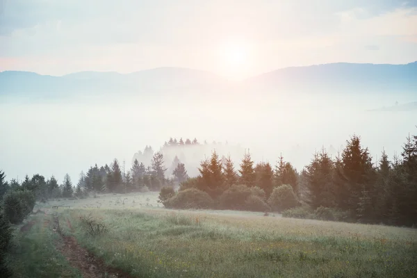 Picturesque morning scene — ストック写真