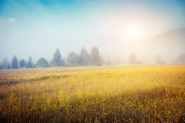 Scena di estate fantastica — Foto Stock