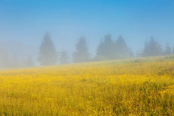 Krásná alpská krajina — Stock fotografie