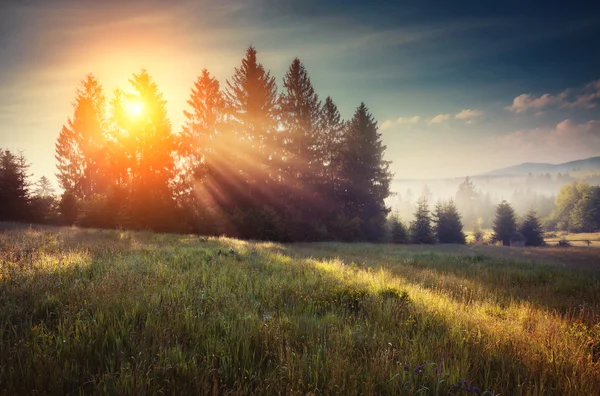 Fantastic summer scene — Stock Photo, Image