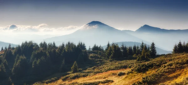 Prachtig zomers landschap — Stockfoto