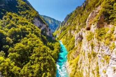 Karadağ'daki Piva Nehri