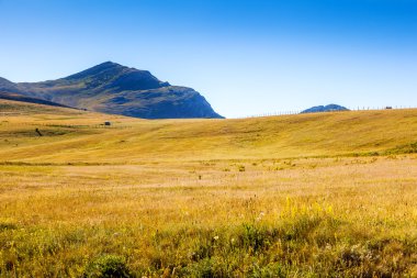 Sihirli Dağ manzarası