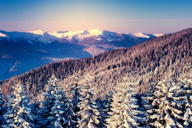 Sihirli Dağ manzarası