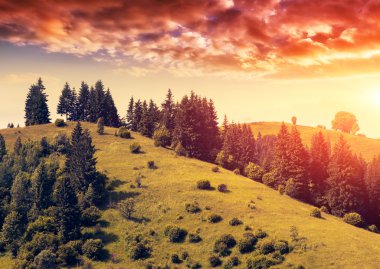 Sihirli Dağ manzarası