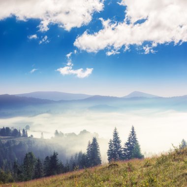 güneşli dağ manzarası