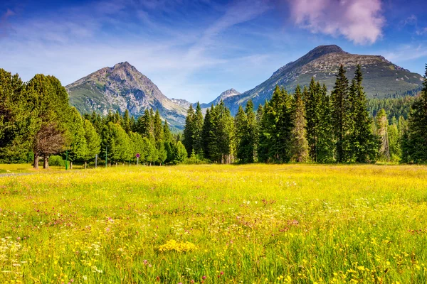 Magic mountain landscape — Stock Photo, Image