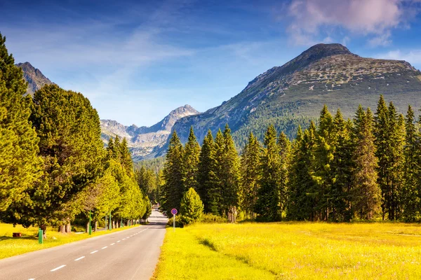 Magic mountain landscape — Stock Photo, Image