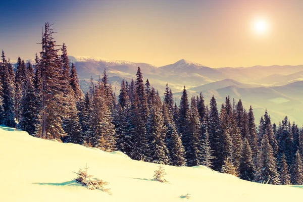 Paesaggio magico di montagna — Foto Stock