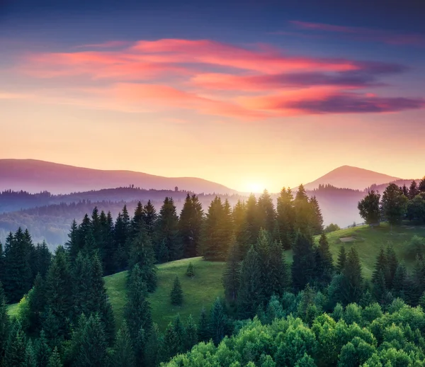 Sunny mountain landscape — Stock Photo, Image