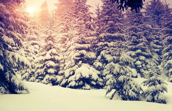 Nádherná zimní krajina — Stock fotografie