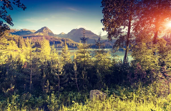 Lago in montagna — Foto Stock