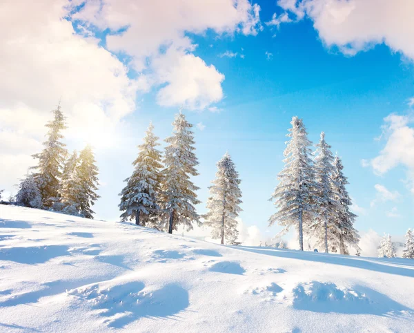 Invierno mágico en las montañas — Foto de Stock