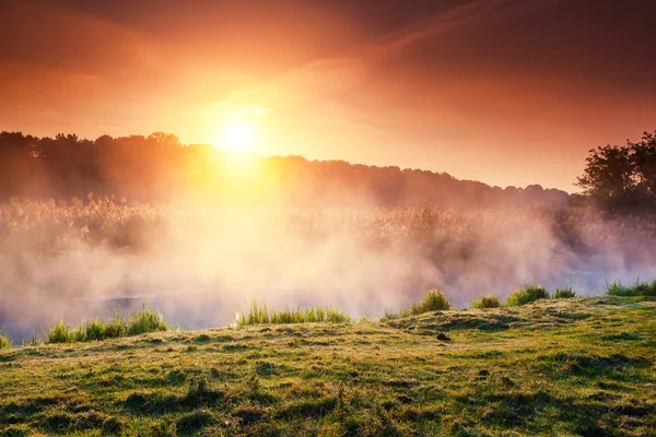 Fantastic foggy river — Stock Photo, Image