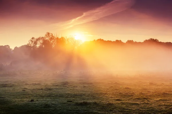 Fantastic foggy river — Stock Photo, Image