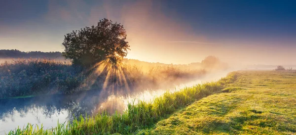 Fantastische nebligen Fluss — Stockfoto