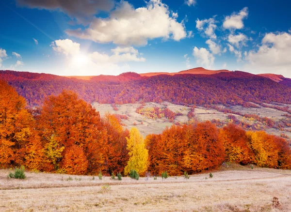 Montagne colorate autunno — Foto Stock