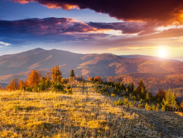 Farbiger Herbst Berge — Stockfoto