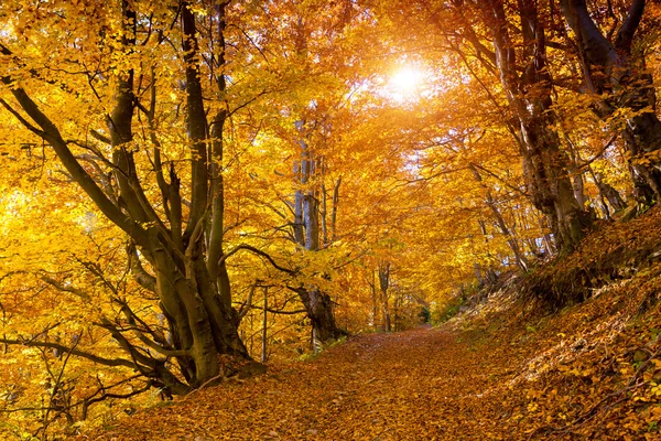 De gekleurde herfst bergen — Stockfoto