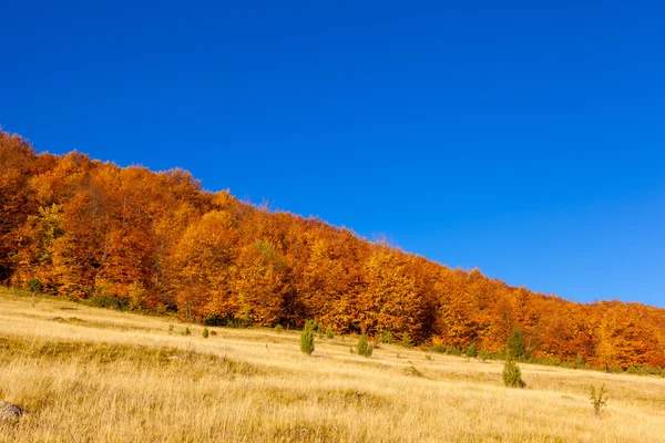 Colored autumn mountains — Stock Photo, Image