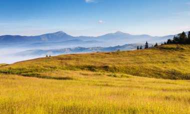 Harika gün ve parlak tepeler