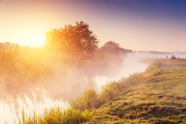 Taze ot ile sisli Nehri