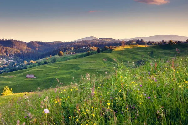 Giornata fantastica e luminose colline — Foto Stock