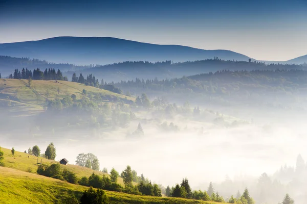 霧の日と明るい丘 — ストック写真