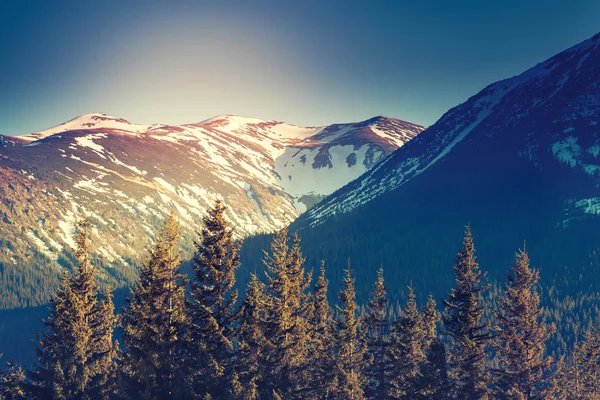 Majestuosa vista de los nevados — Foto de Stock