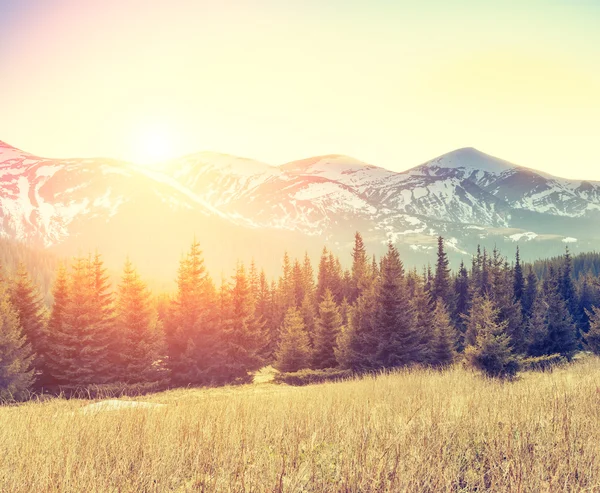 Majestic view of snowy peaks — Stock Photo, Image