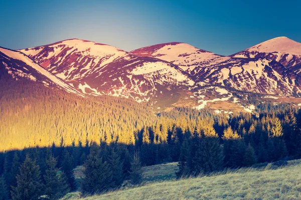 Величественный вид на снежные вершины — стоковое фото