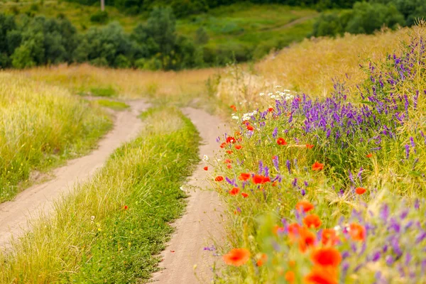 Herbe verte et coquelicots rouges . — Photo