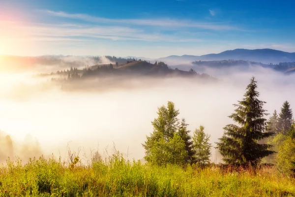 Giornata fantastica e luminose colline — Foto Stock