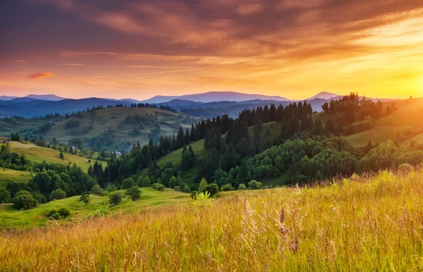 Green hills glowing by sunlight — Stock Photo, Image