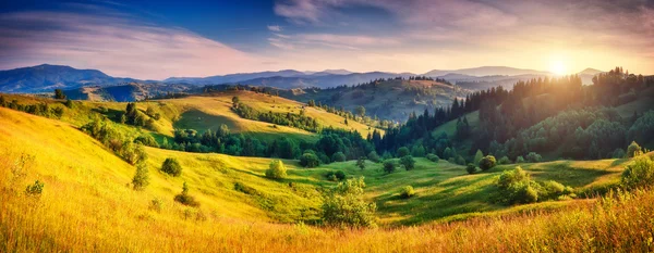 Collines vertes incandescentes par la lumière du soleil — Photo