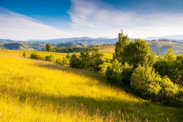 Green hills glowing by sunlight. — Foto Stock