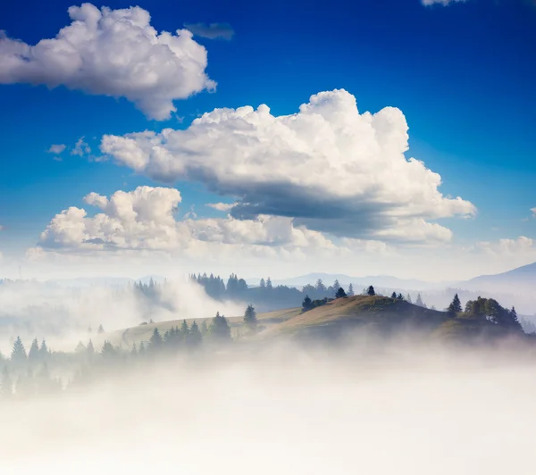 Sonniger Tag in Berglandschaft und Nebel — Stockfoto